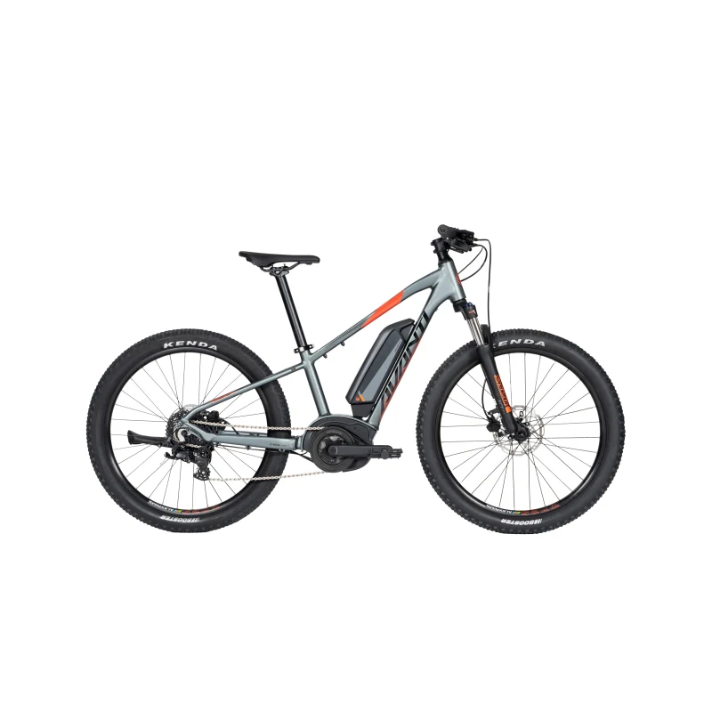 Avanti Montari-e Jnr 24 2025